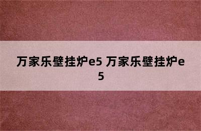 万家乐壁挂炉e5 万家乐壁挂炉e5